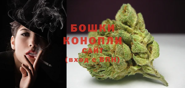 дмт Бородино