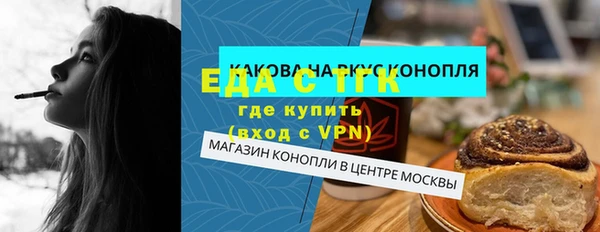 дмт Бородино