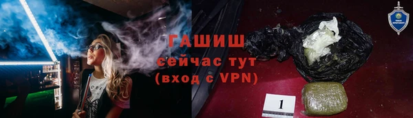 дмт Бородино
