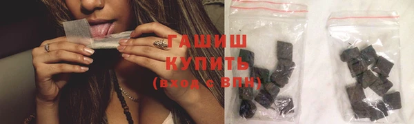 дмт Бородино