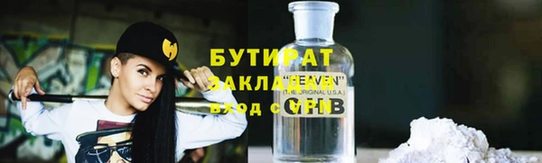 дмт Бородино