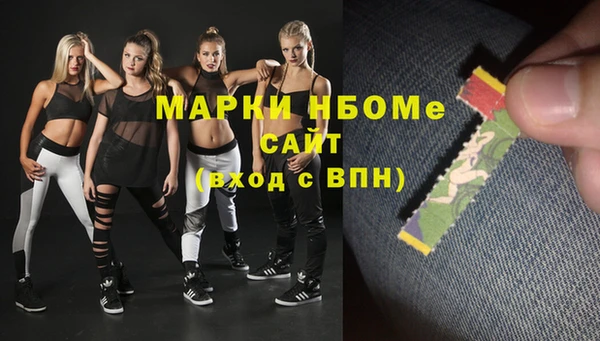 дмт Бородино