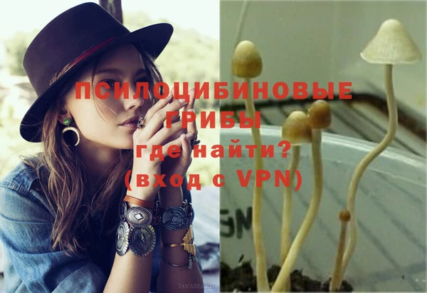 амф Богданович