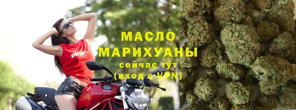дмт Бородино