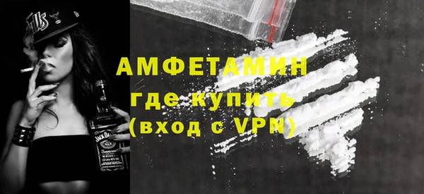 дмт Бородино